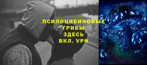 PSILOCYBIN Абаза