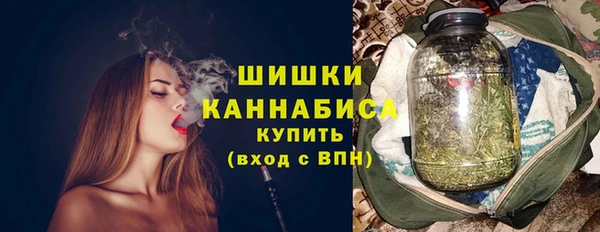 PSILOCYBIN Абаза