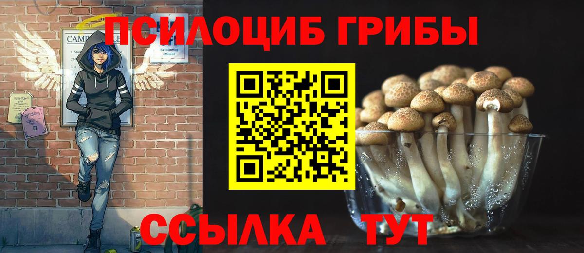 Галлюциногенные грибы GOLDEN TEACHER Заволжье