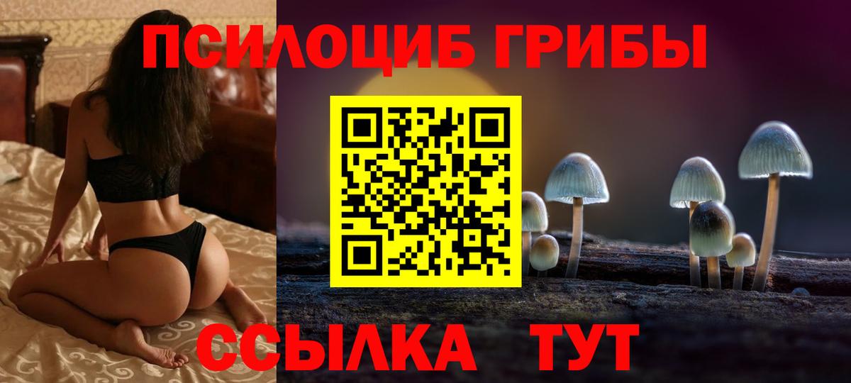 Галлюциногенные грибы GOLDEN TEACHER  наркотики  Заволжье  Вход с VPN 